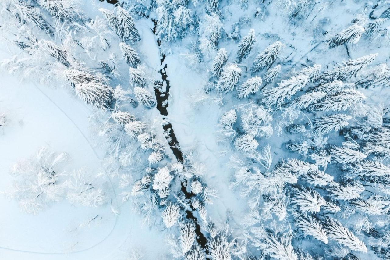 Residence Les Portes Du Soleil - Proprietes Mont Amour Avoriaz Εξωτερικό φωτογραφία